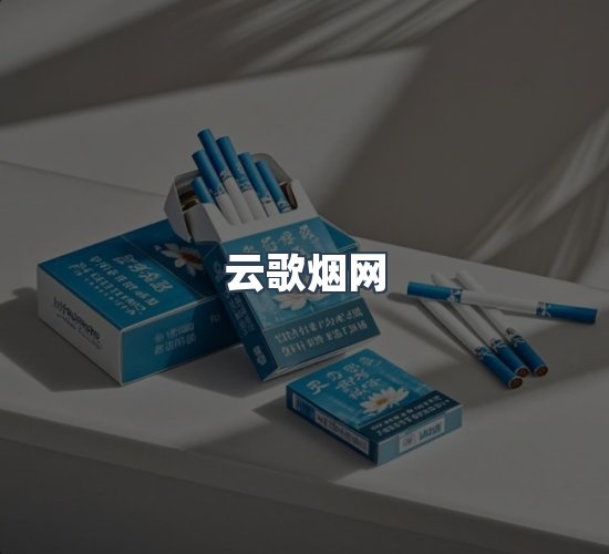 关于云歌烟网